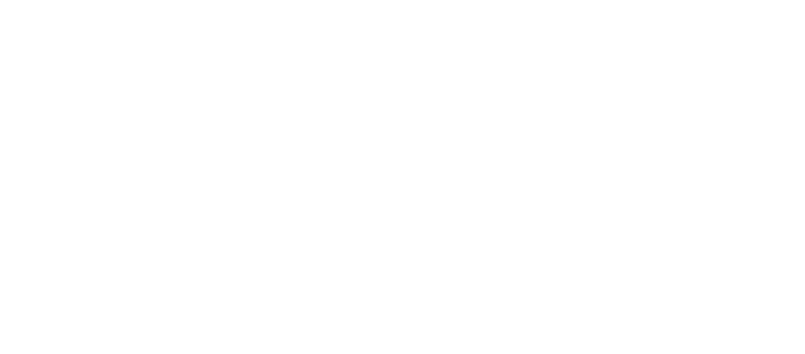 logo borrufa 2027