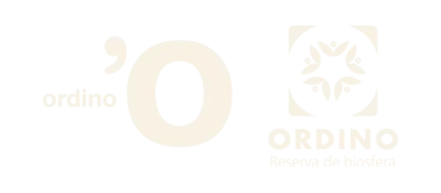 Ordino 