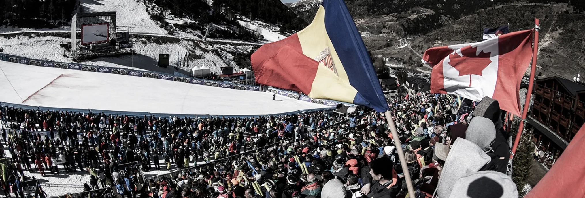 Copa del Món Organització