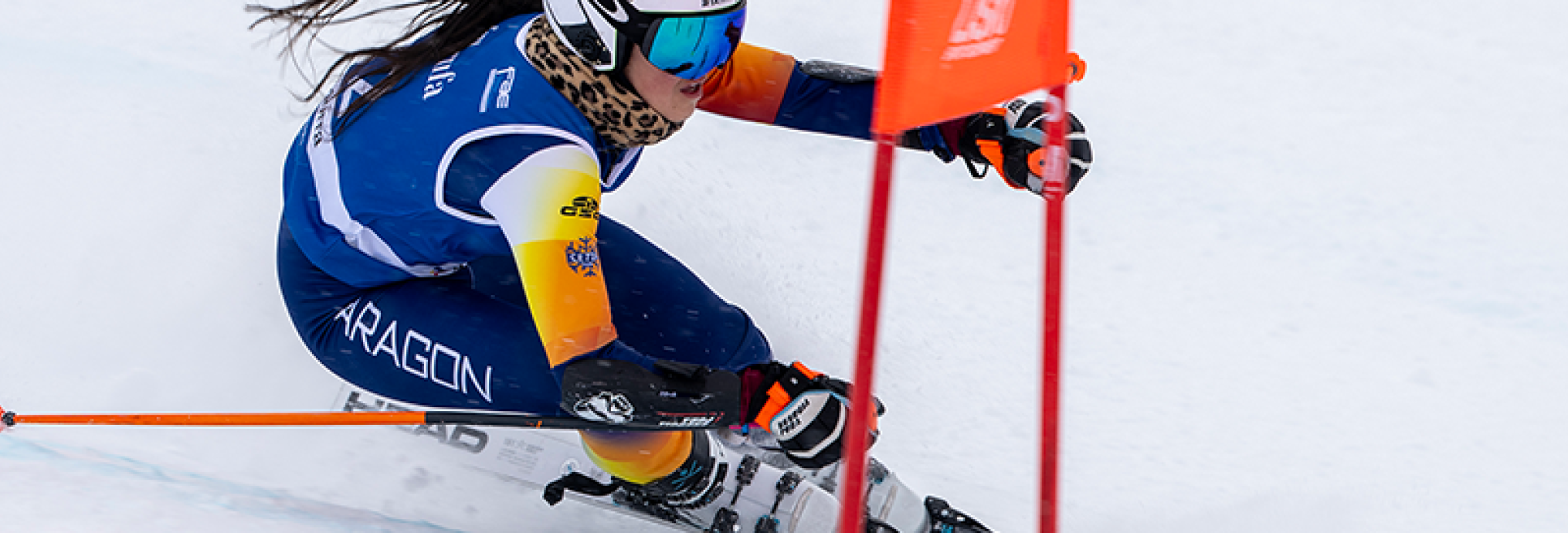SLALOM