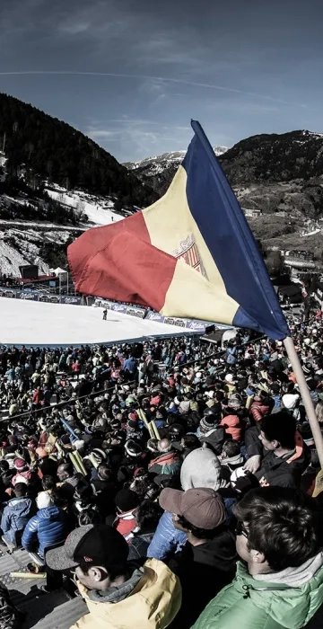 Copa del Món Organització