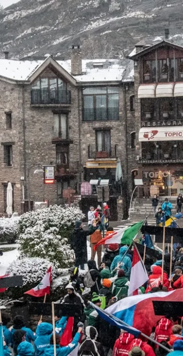 Borrufa Colaboradores