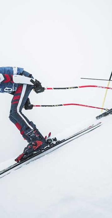 Borrufa dia 27 de gener