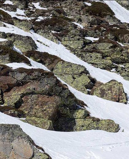 Freeride World Tour 2023