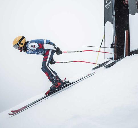 Borrufa dia 27 de gener