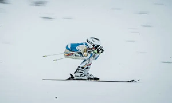 Borrufa carreras